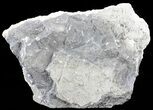 Polished Baryte Slab - Lubin Mine, Poland #60513-1